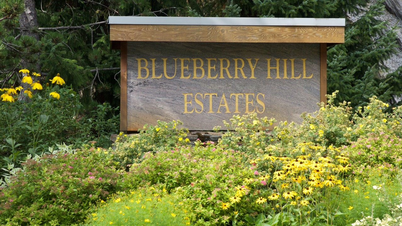 Photo of Outdoor in Blueberry Hill