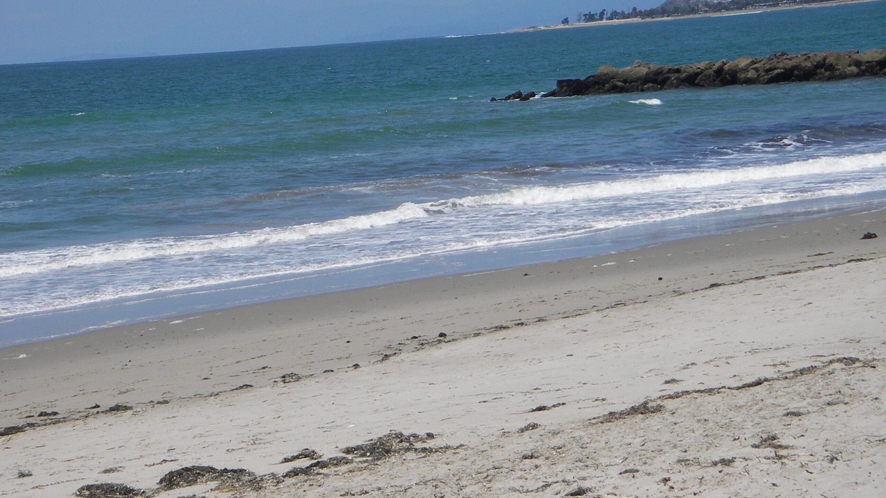 Photo of Others in Pierpont Bay