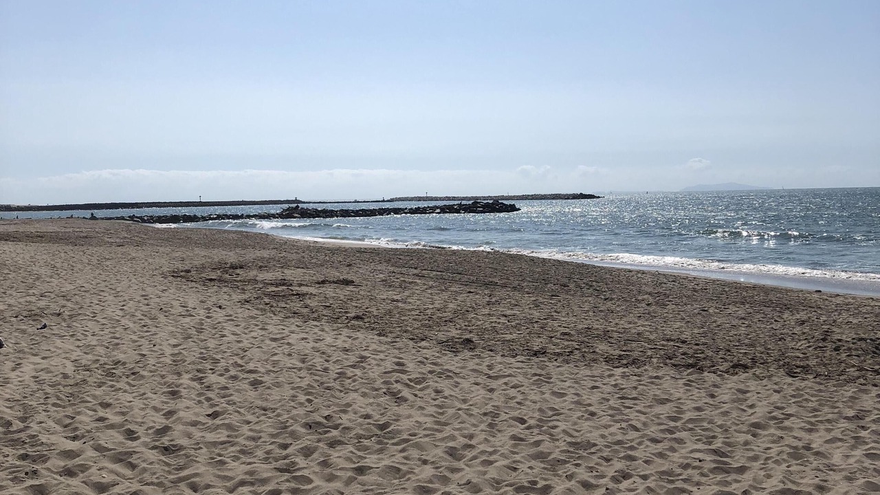 Photo of Others in Pierpont Bay