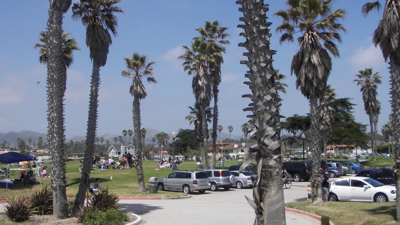 Photo of Others in Pierpont Bay