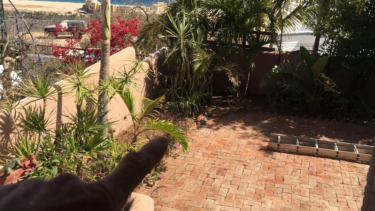 Photo of Outdoor in Sunset Beach