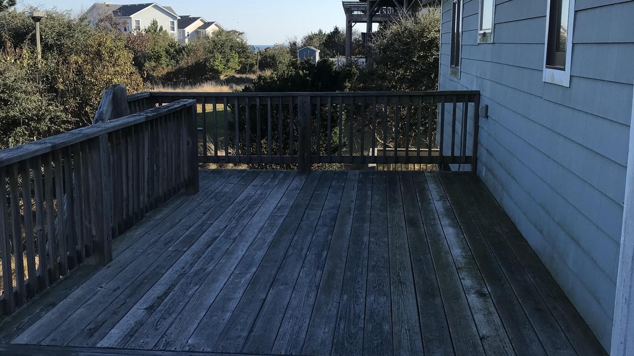 Photo of Others in Carolina Dunes