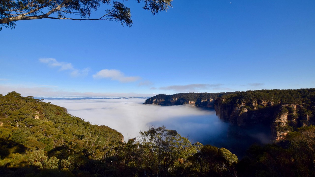 Photo of Outdoor in Katoomba