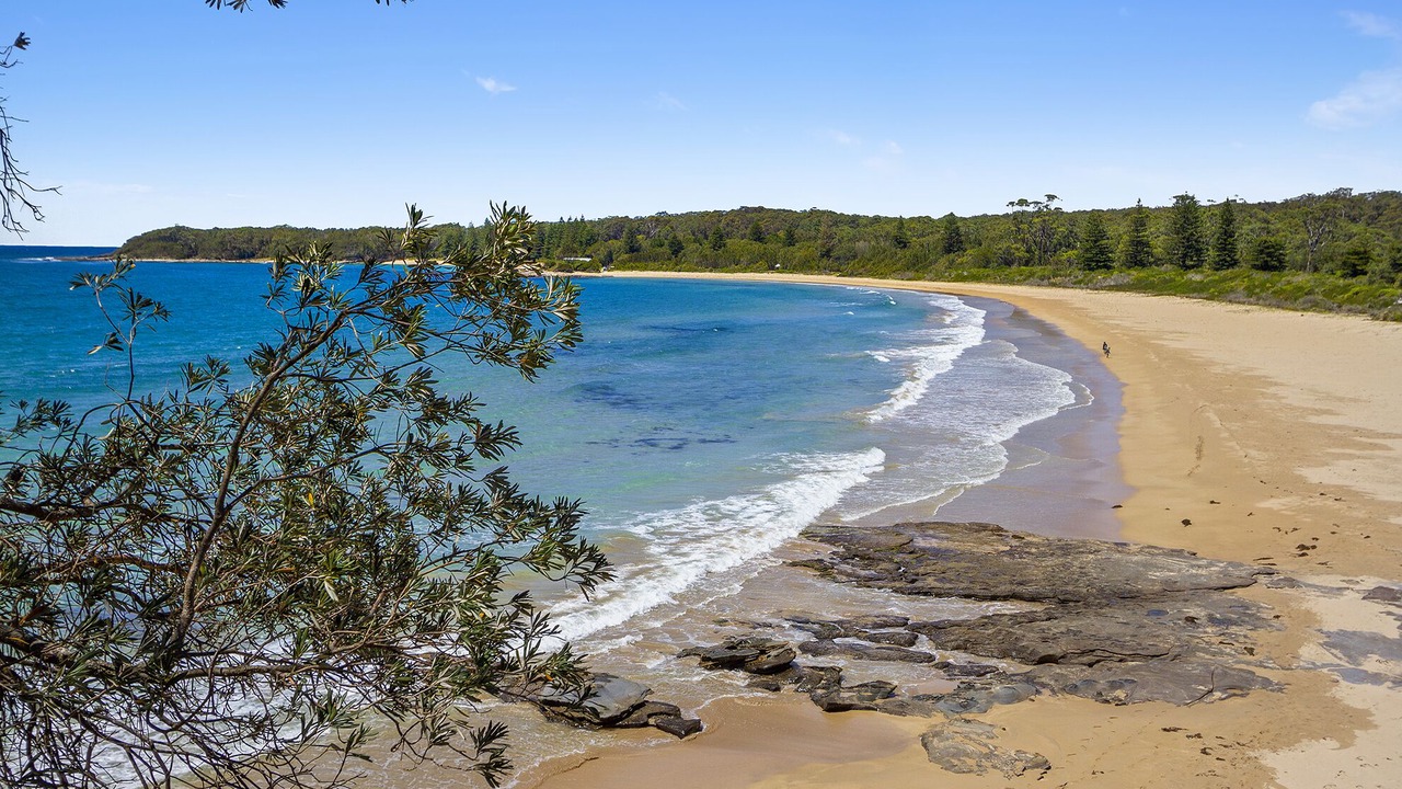 Photo of Others in South Durras