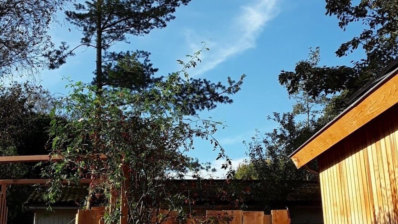 Photo of Outdoor in Schoorl