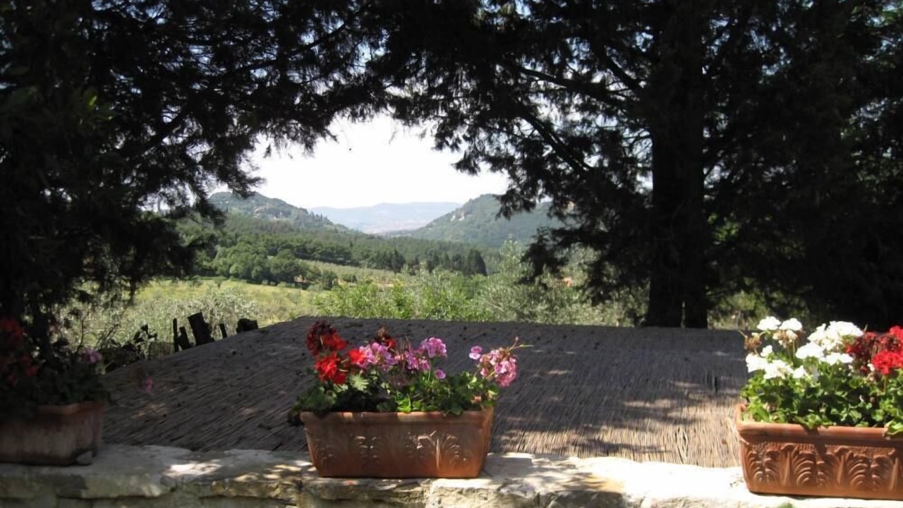Photo of Others in Fiesole