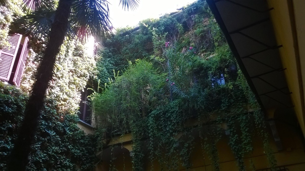 Photo of Outdoor in Historic Center
