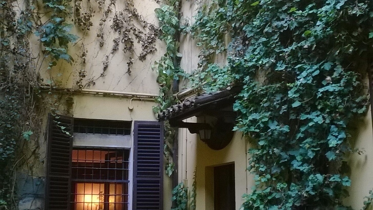 Photo of Outdoor in Historic Center