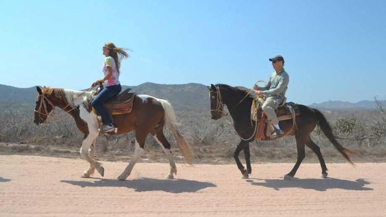 Photo of Others in Cabo San Lucas