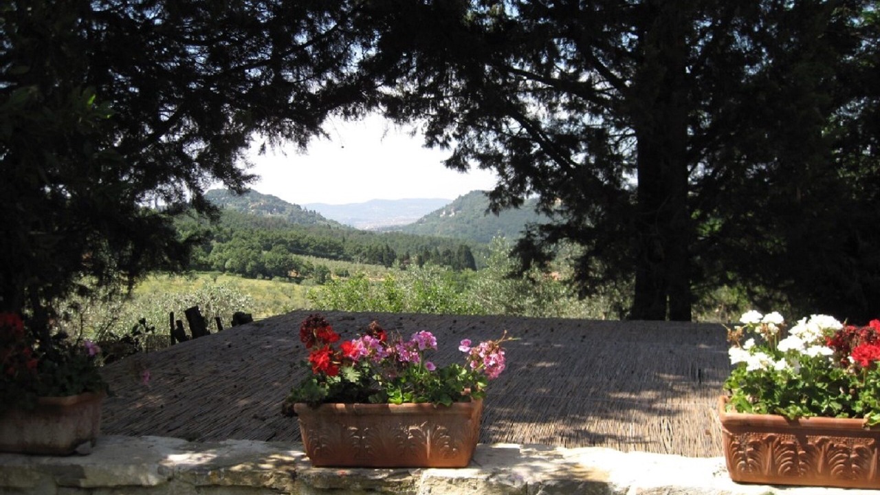 Photo of Outdoor in Caldine