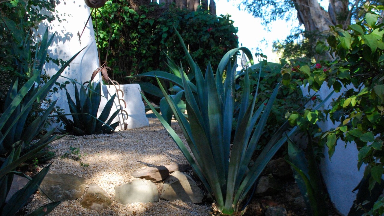 Photo of Outdoor in Laguna