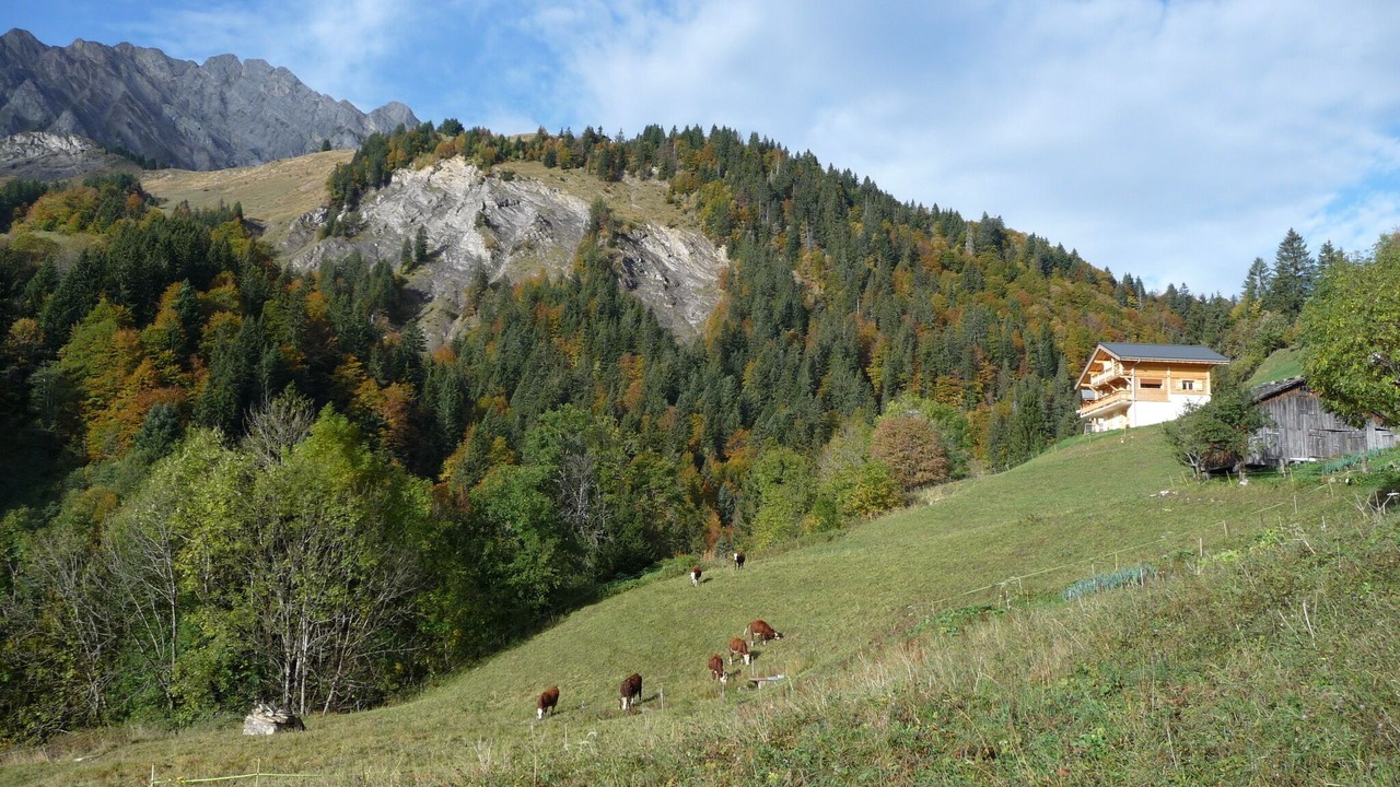 Photo of Outdoor in La Giettaz