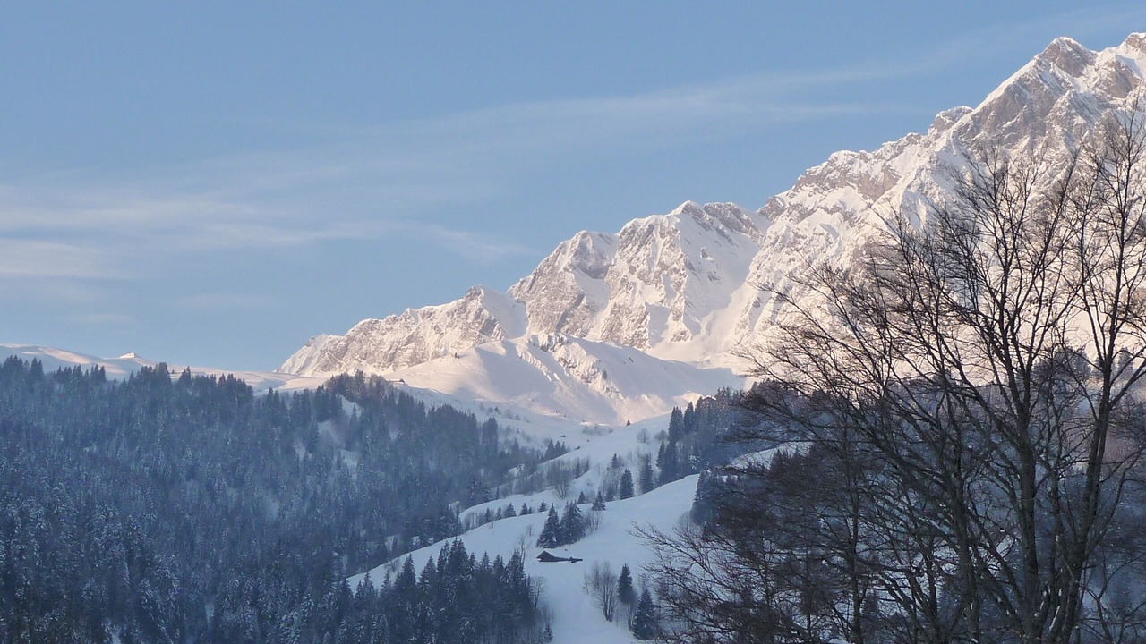 Photo of Others in La Giettaz