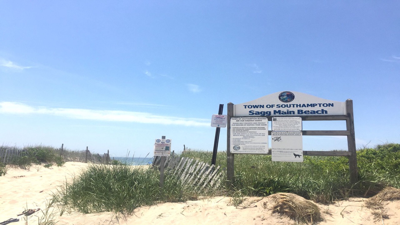 Photo of Others in Bridgehampton