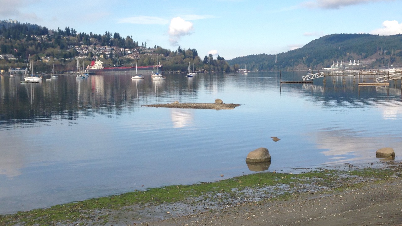 Photo of Others in Port Moody
