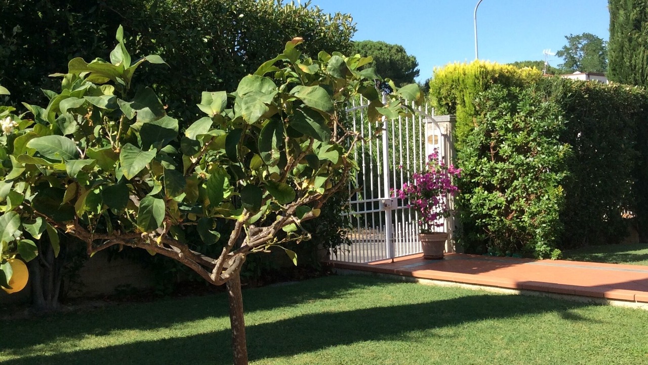 Photo of Outdoor in Gambassi Terme