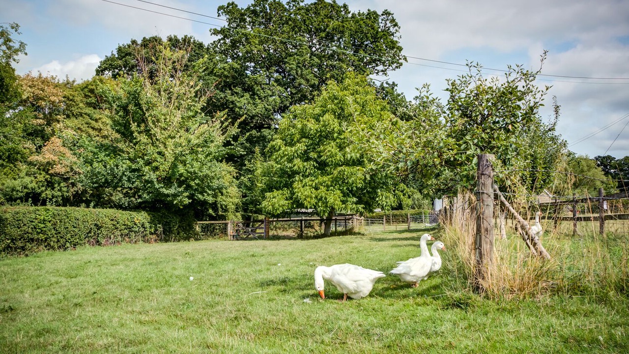 Photo of Others in Whichford
