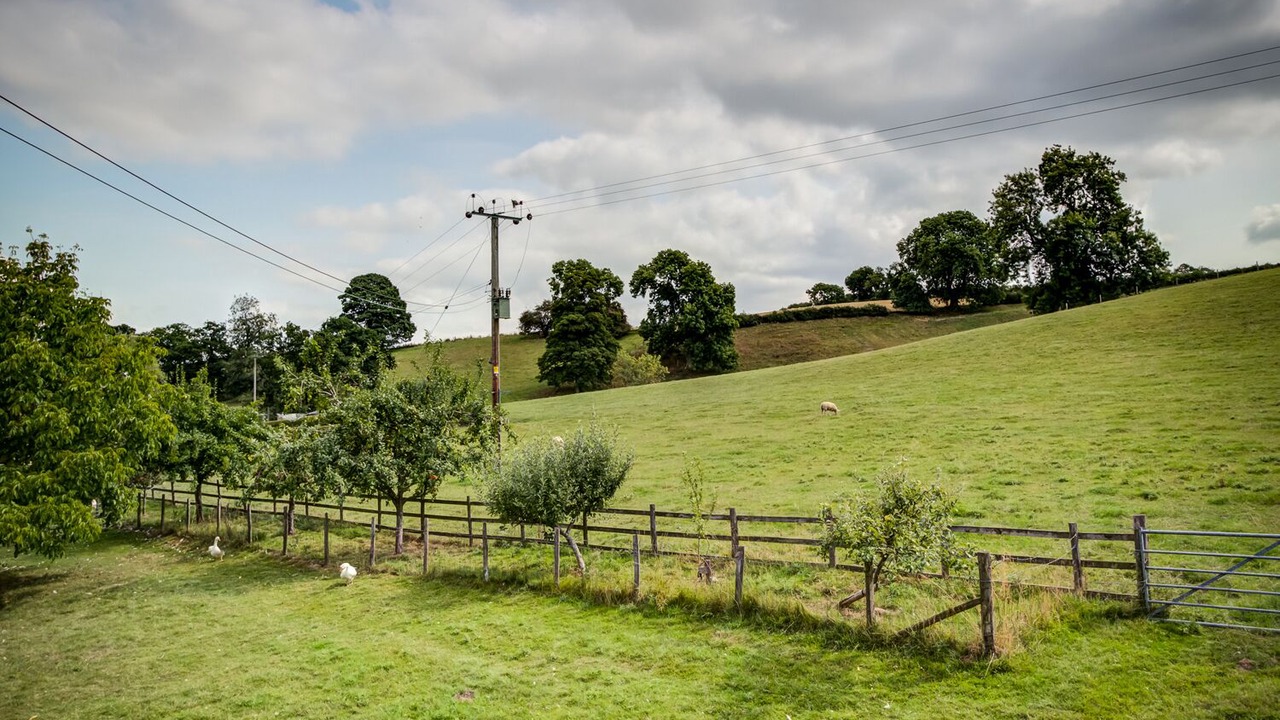 Photo of Outdoor in Whichford