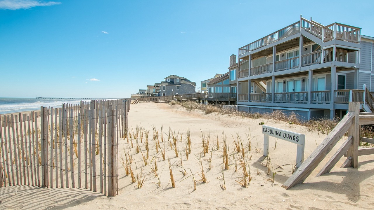 Photo of Others in Carolina Dunes