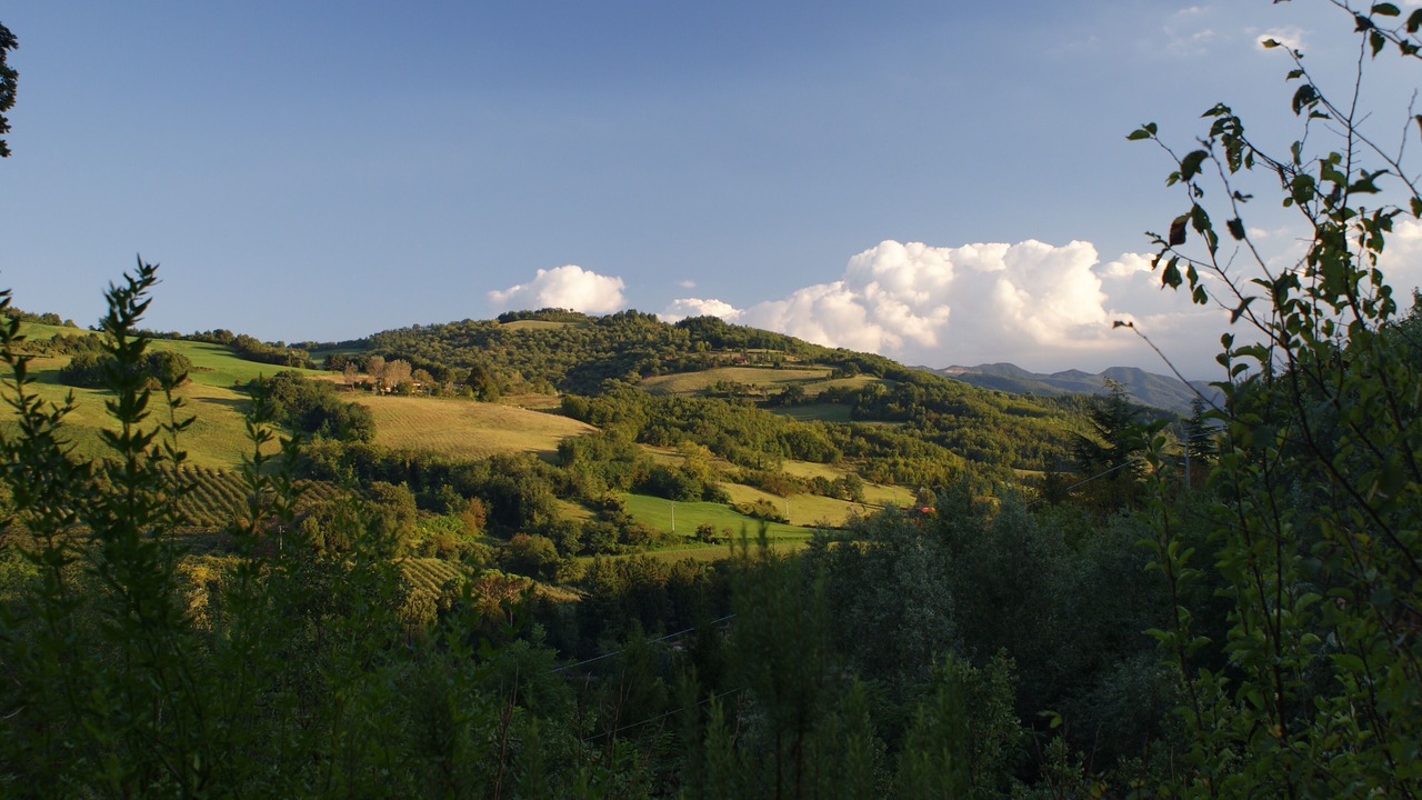 Photo of Others in Casalfiumanese