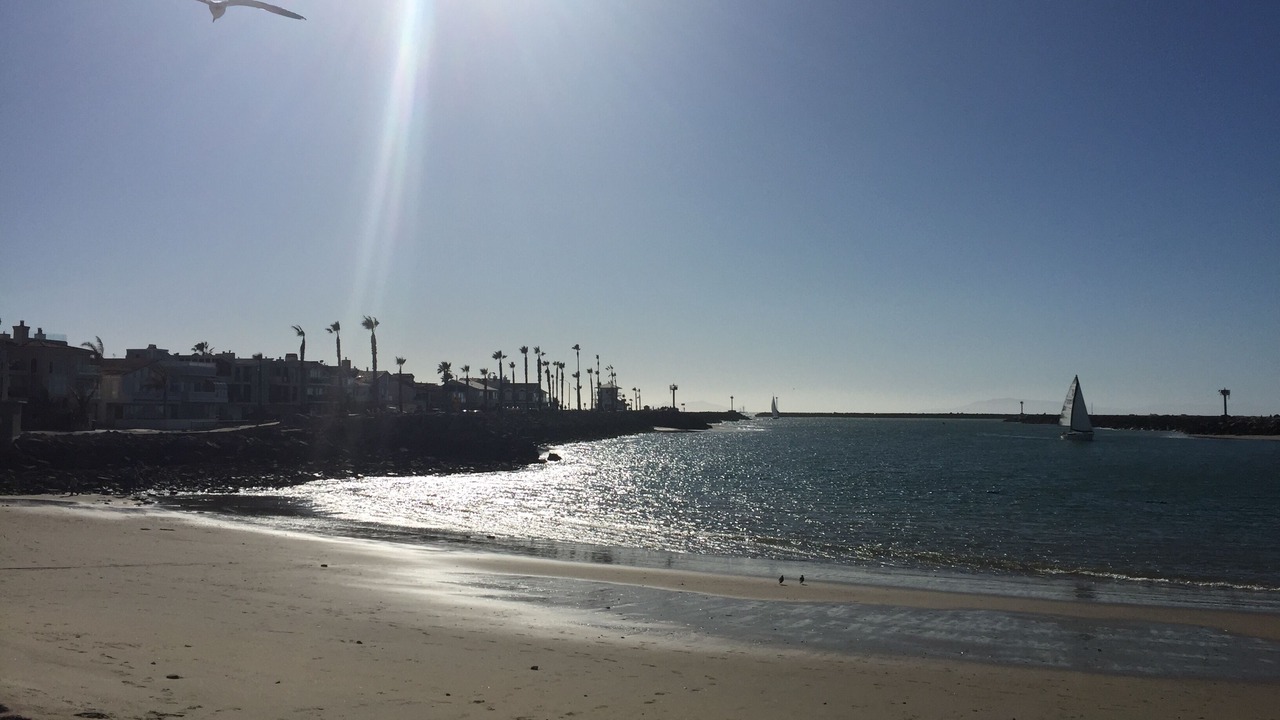 Photo of Others in Silver Strand