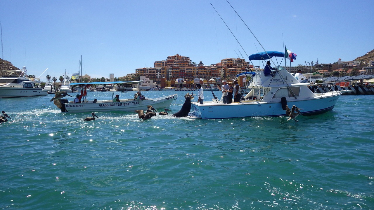 Photo of Others in Marina