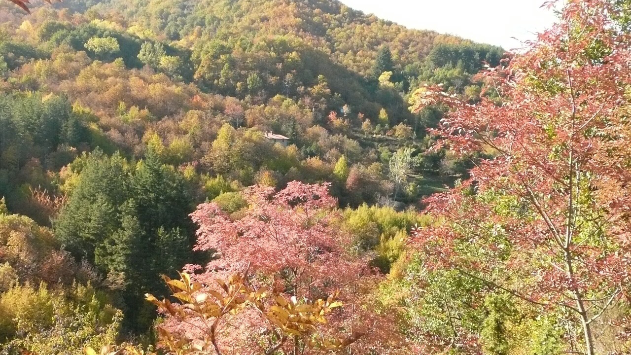 Photo of Outdoor in Castel San Niccolo