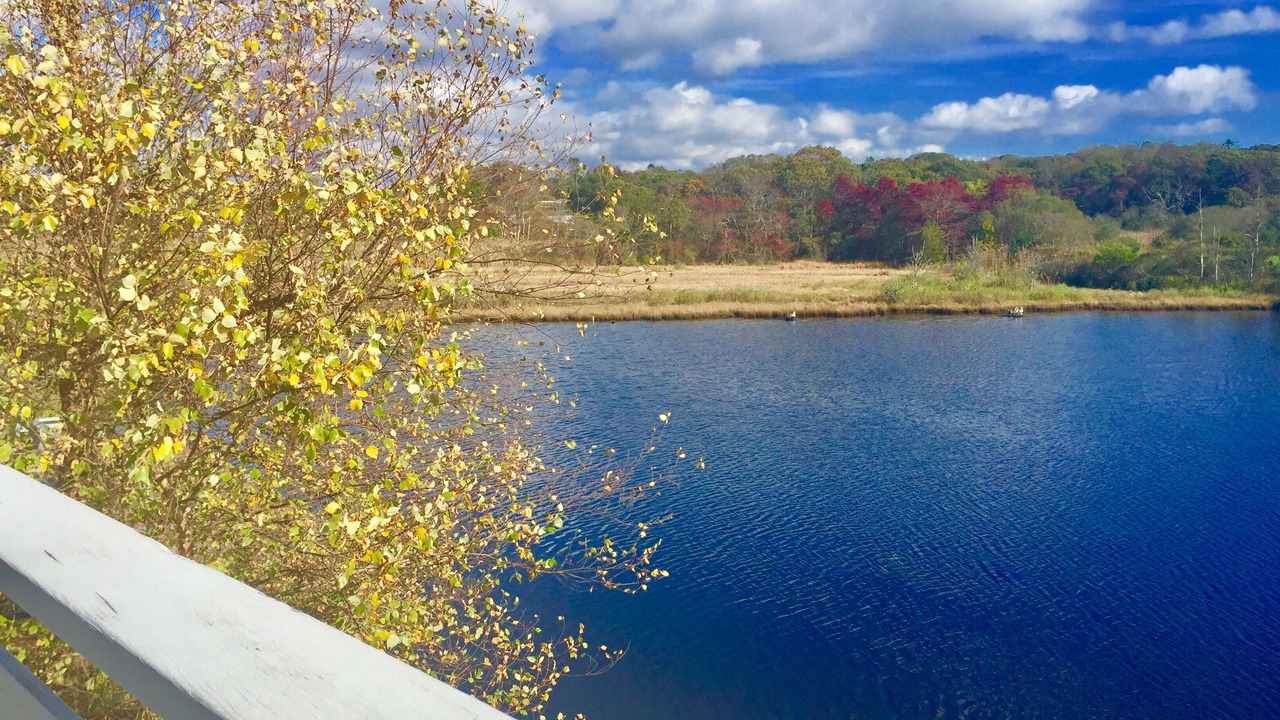 Photo of Others in Woods Hole