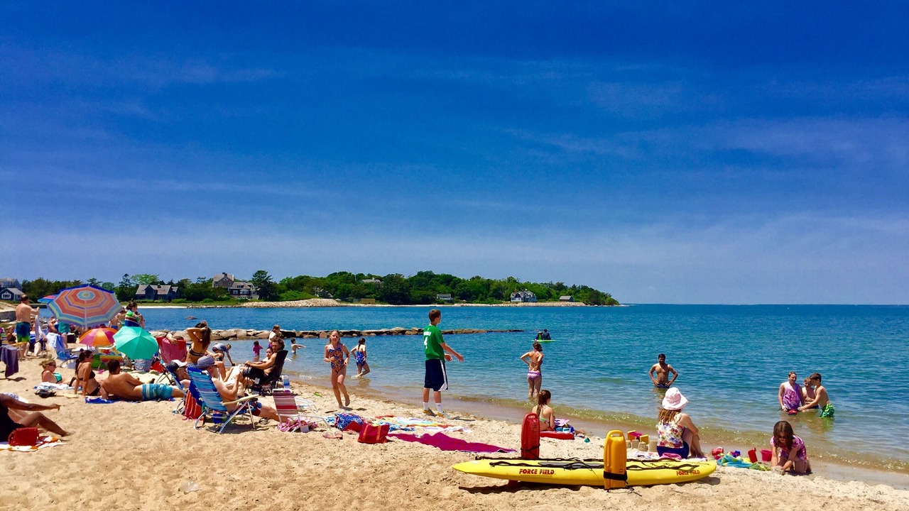 Photo of Others in Woods Hole