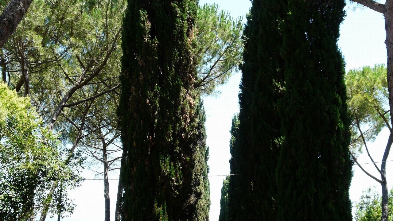 Photo of Outdoor in Colle di Val d'Elsa