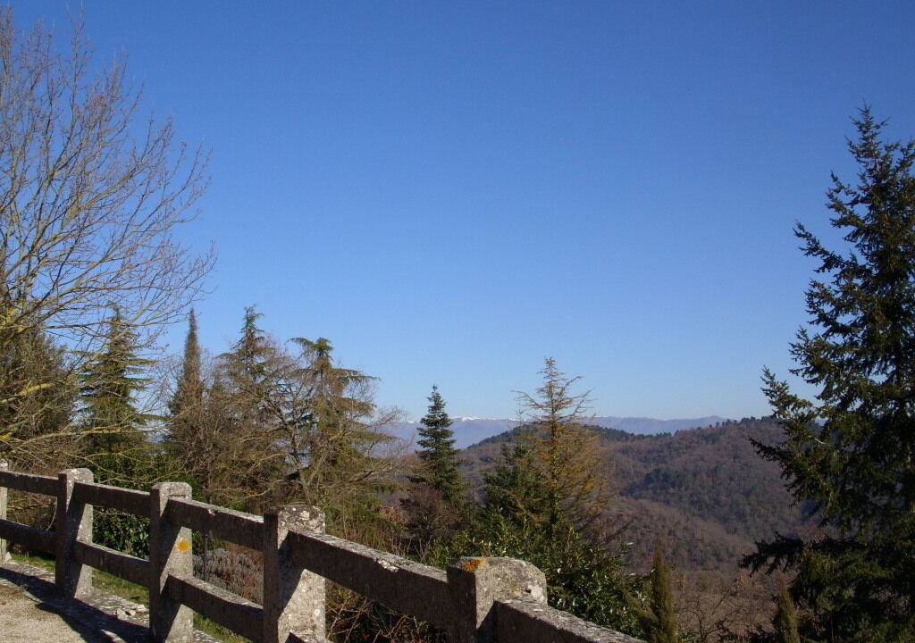 Photo of Outdoor in Starda