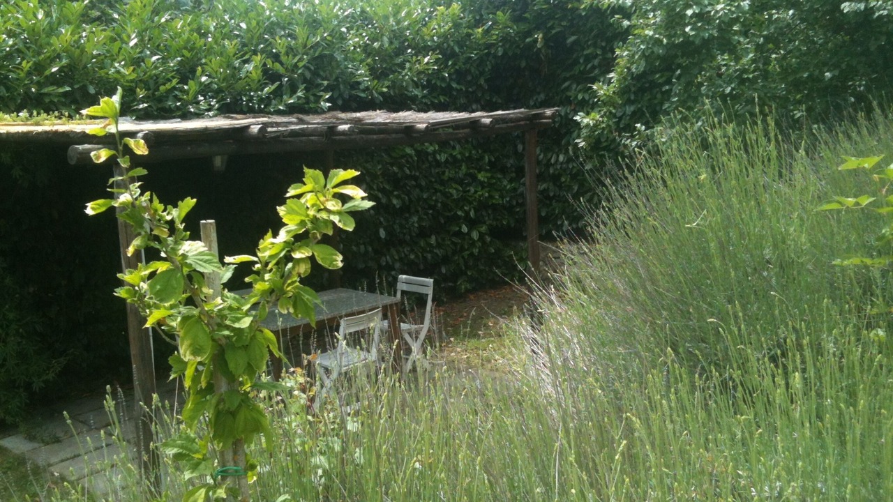 Photo of Outdoor in Castel Focognano