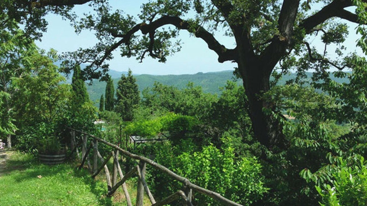 Photo of Others in Castel Focognano