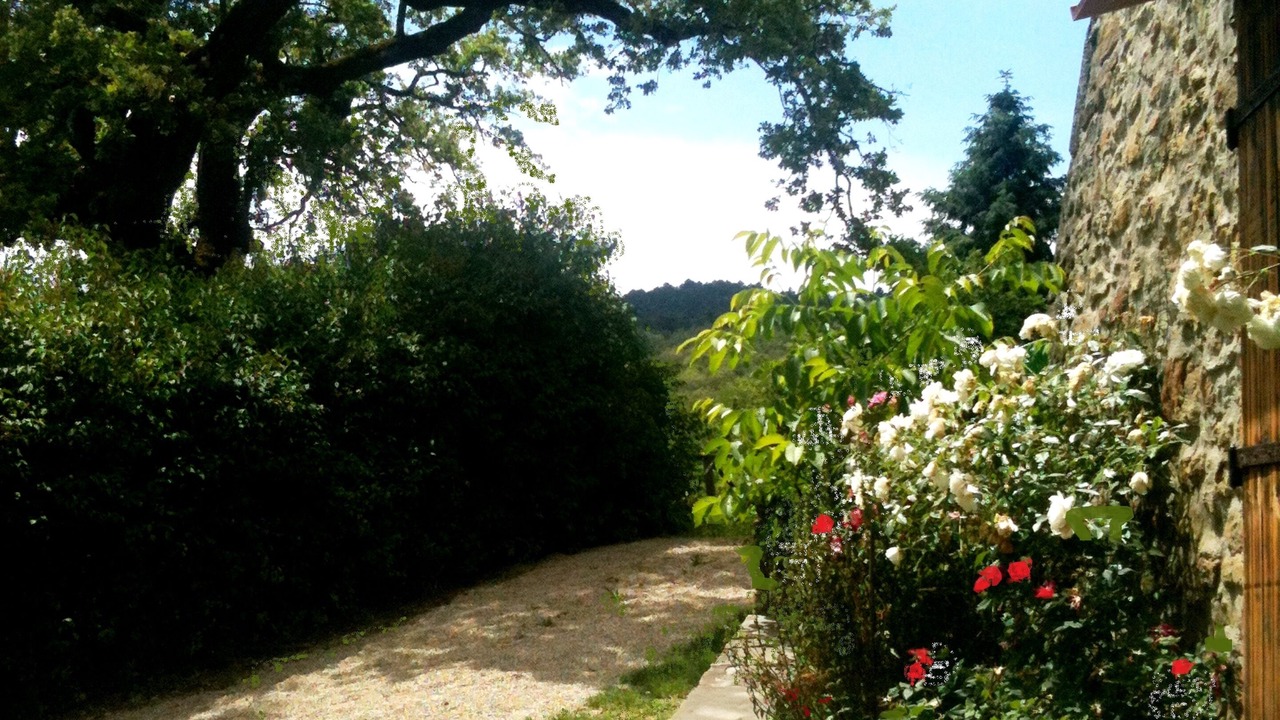 Photo of Others in Castel Focognano