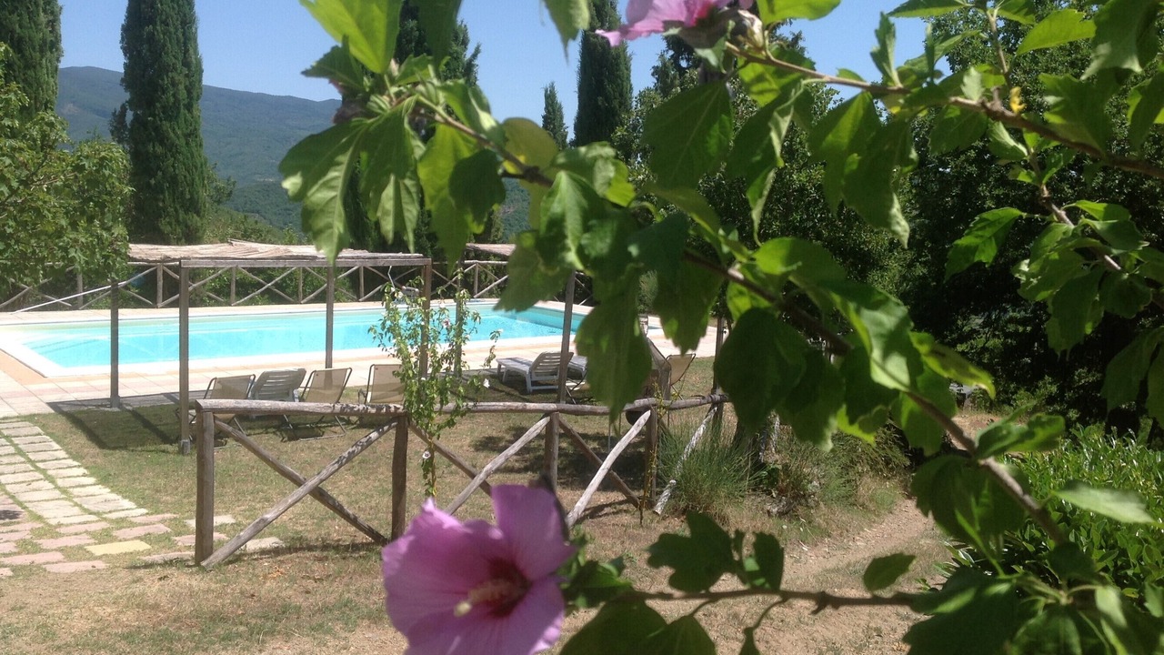 Photo of Others in Castel Focognano