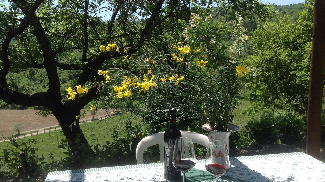 Photo of Outdoor in Castel Focognano
