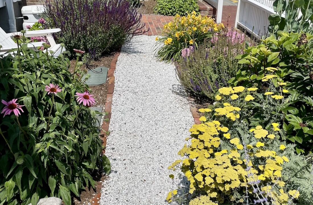 Photo of Outdoor in Provincetown