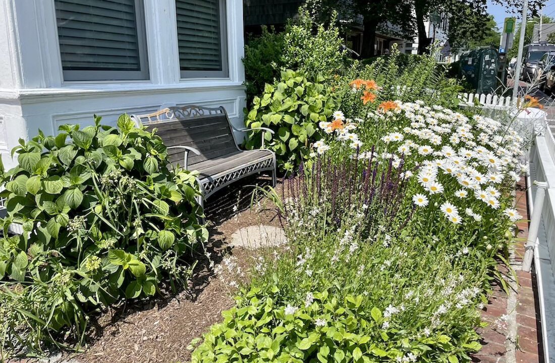 Photo of Outdoor in Provincetown