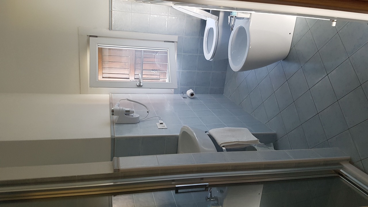 Photo of Bathroom in Polinago