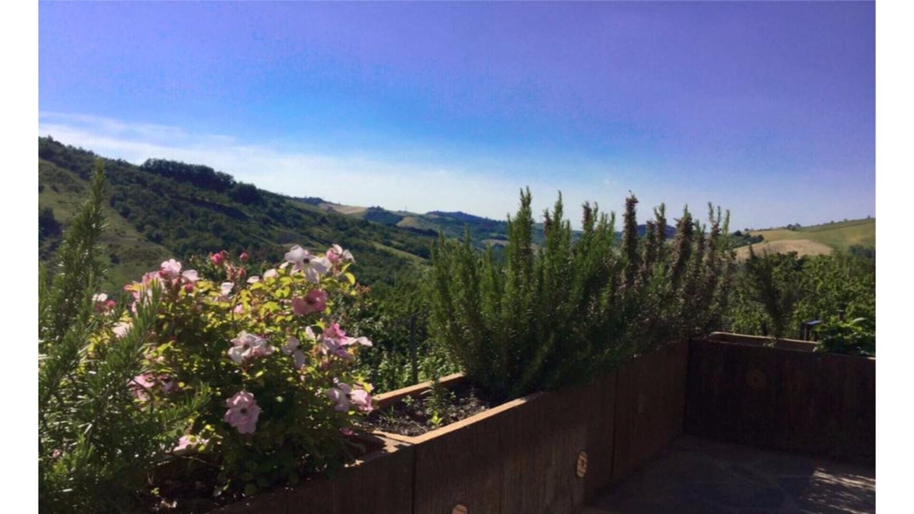 Photo of Outdoor in Monte San Pietro