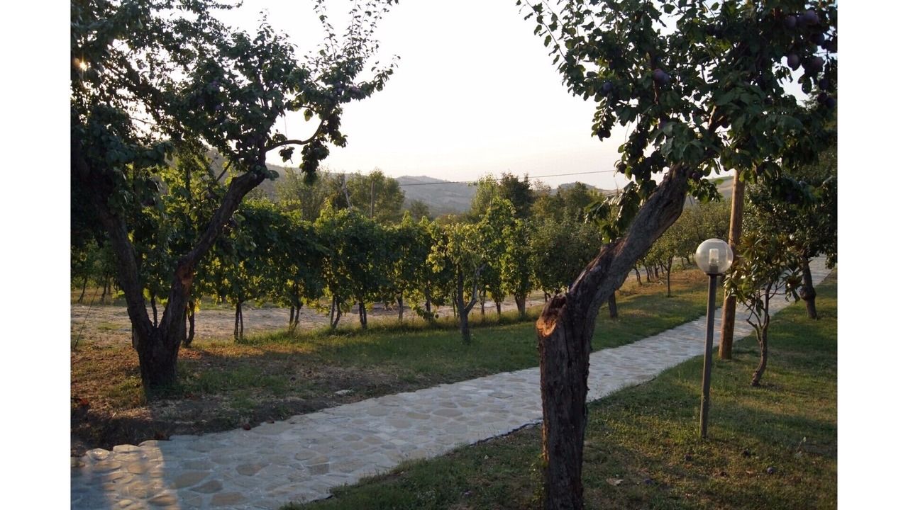 Photo of Outdoor in Monte San Pietro