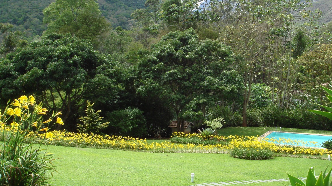Photo of Outdoor in Araras