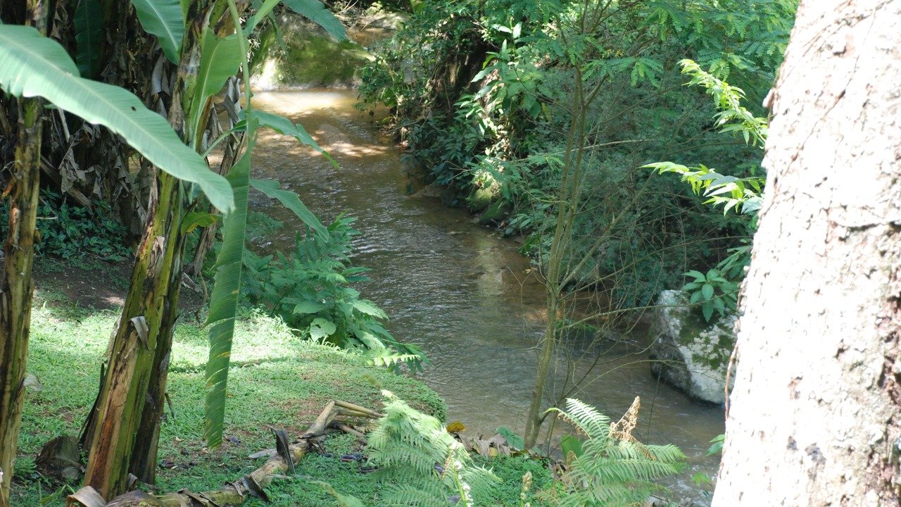Photo of Outdoor in Araras