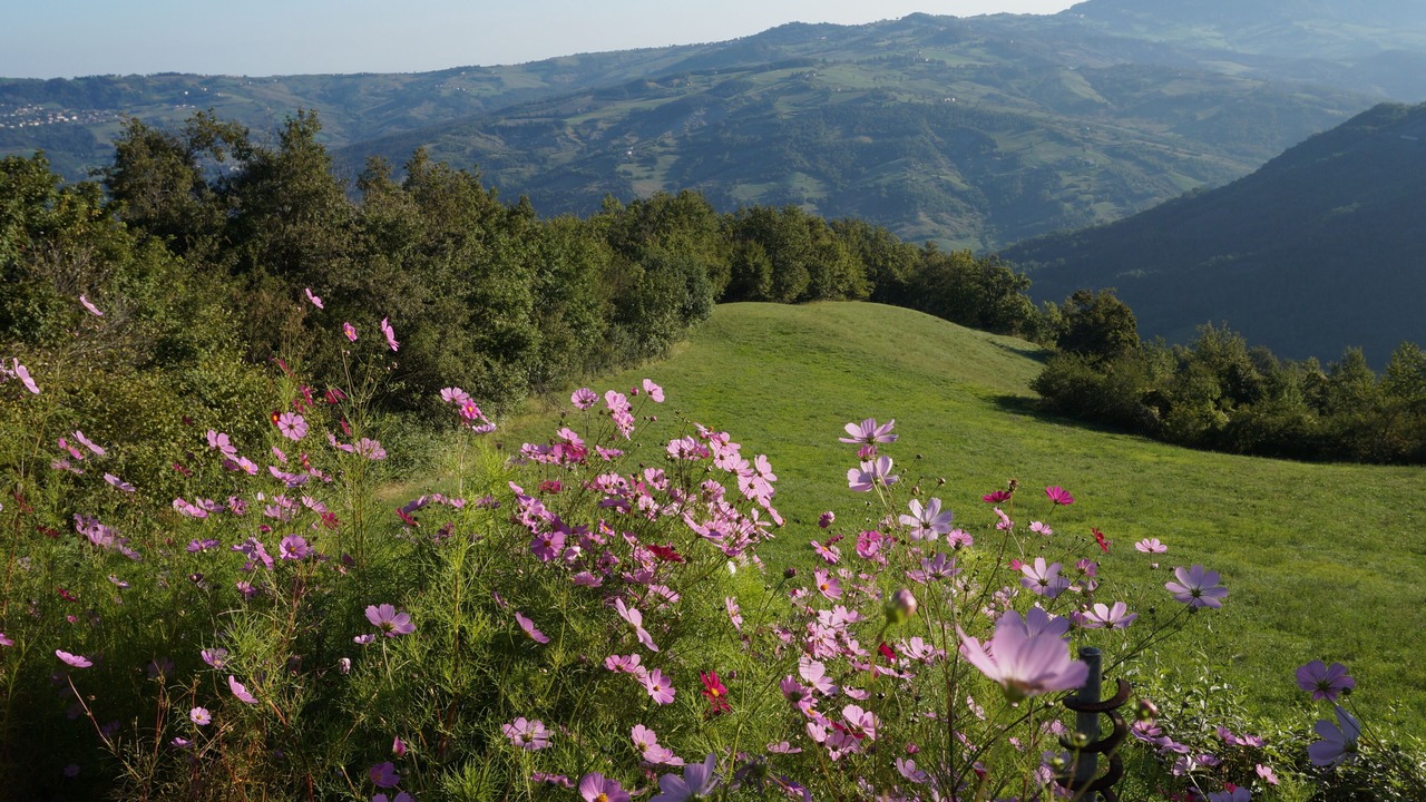 Photo of Outdoor in Polinago
