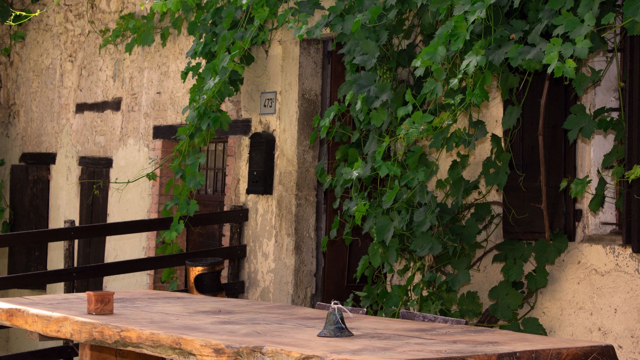 Photo of Outdoor in Zocca