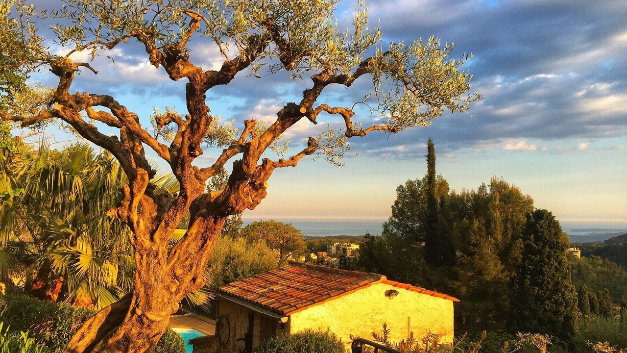 Photo of Outdoor in Vence