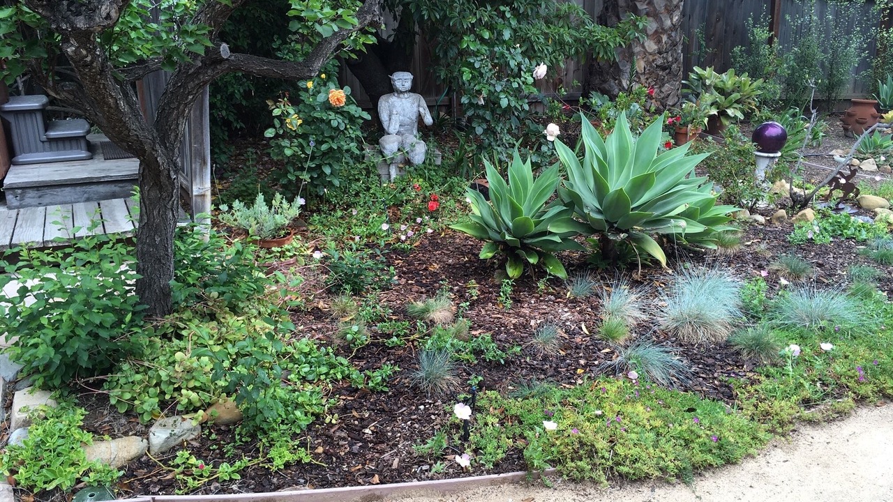 Photo of Outdoor in Laguna