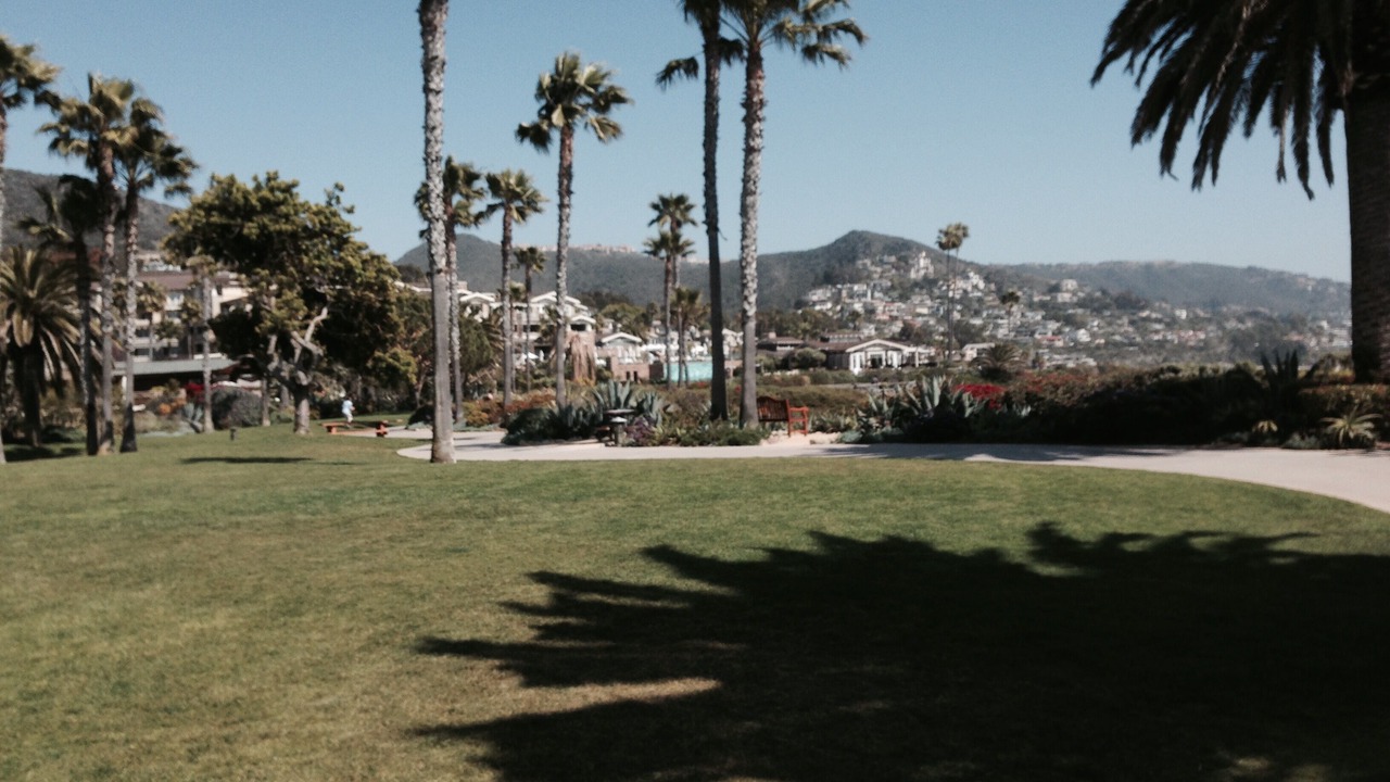 Photo of Others in Arch Beach Heights