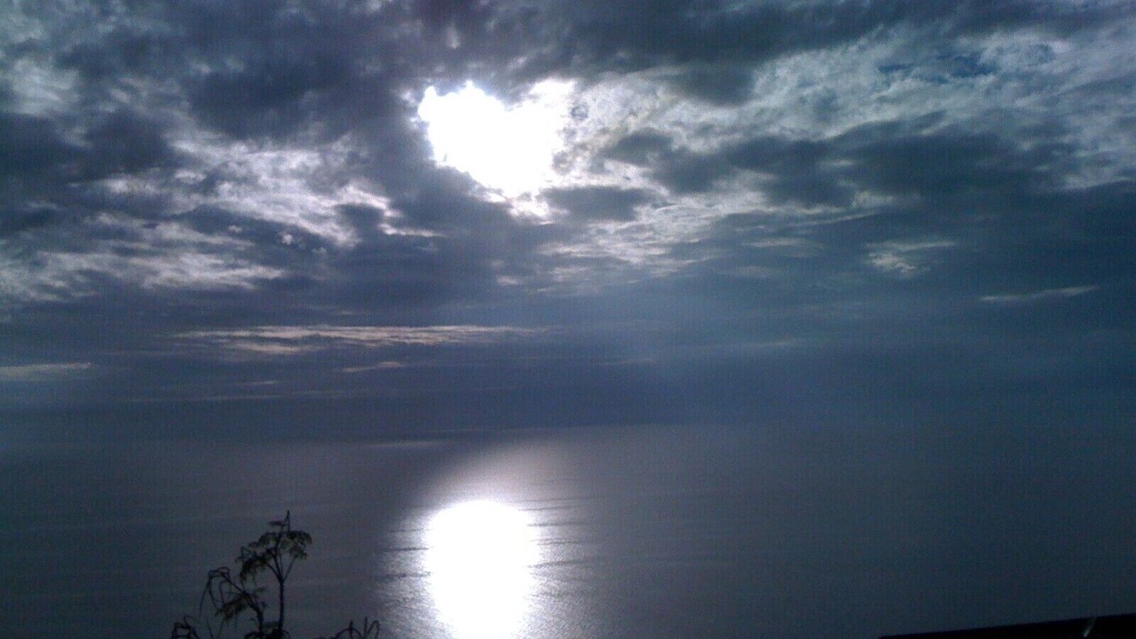 Photo of Others in Arch Beach Heights