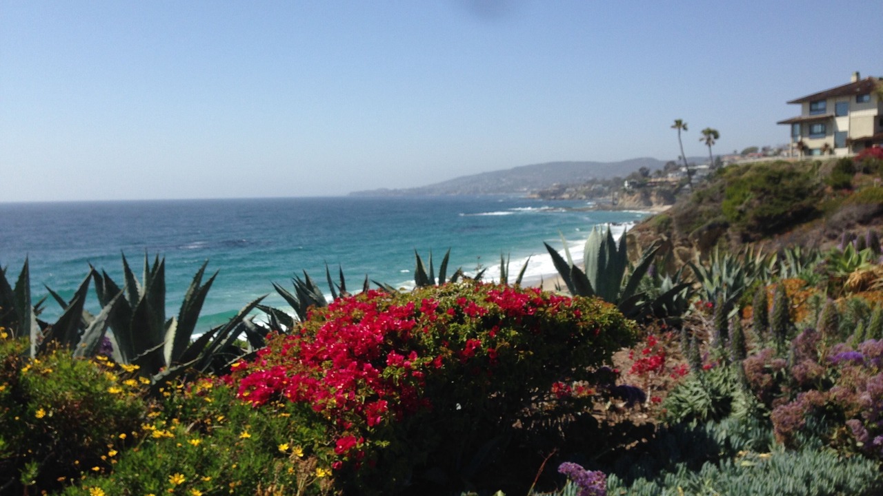 Photo of Others in Arch Beach Heights